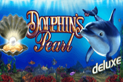 Dolphins Pearl Delux…